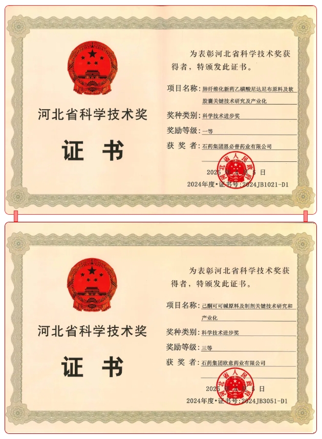 君临国际